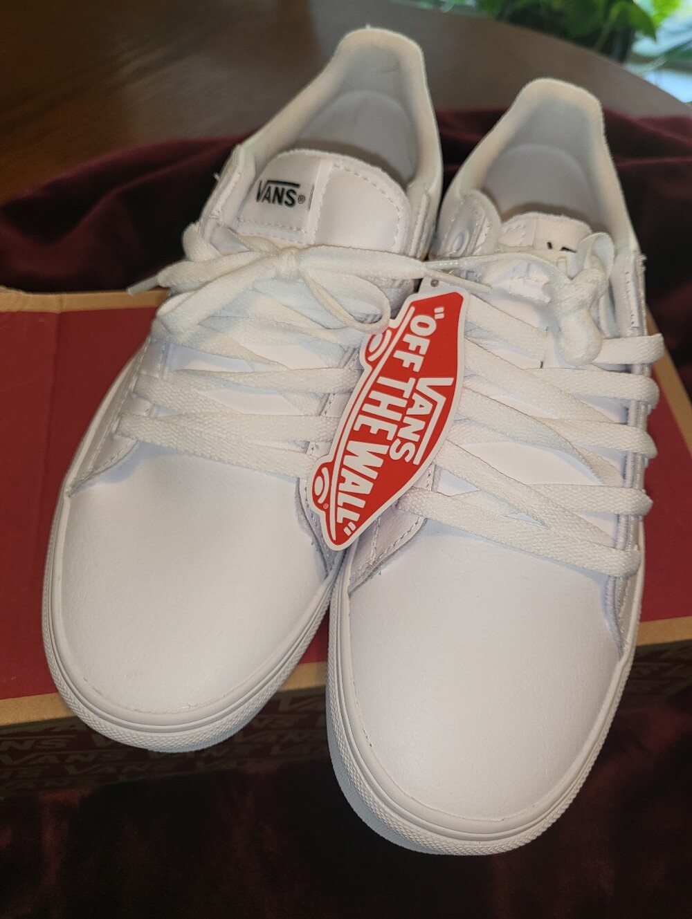 Vans White Low-Top Skate Sneakers